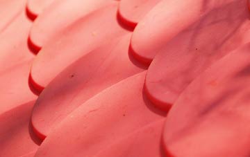 Clarendon Park plastic roof costs