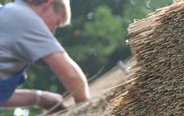 professional Clarendon Park thatchers